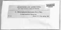 Image Associated With the Occurence
